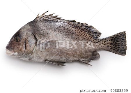 Pepper dice 90883269