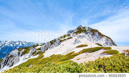 初夏攀登椿山(椿山山頂) 初夏攀登椿山(椿山山頂) 90883605