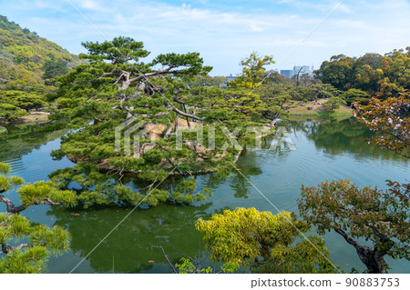 香川縣高松市栗林庭園內保存完好的松樹和池塘 90883753