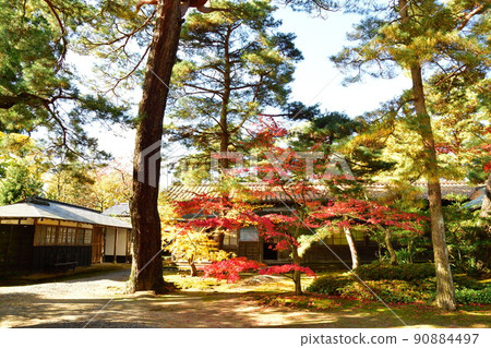 Autumn leaves of Ichishima Tei (Niigata Prefecture) 90884497