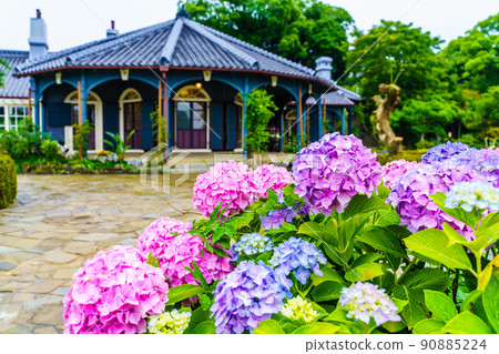 格洛弗花園雨天繡球花老格洛弗之家[長崎縣長崎市] 90885224