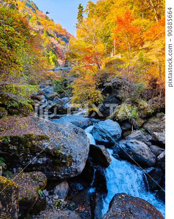 Oyanagawa Gorge (Autumn) Oyanagawa Gorge (Autumn) 90885664