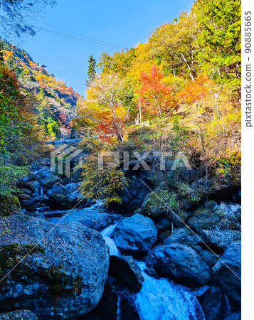 Oyanagawa Gorge (Autumn) 90885665