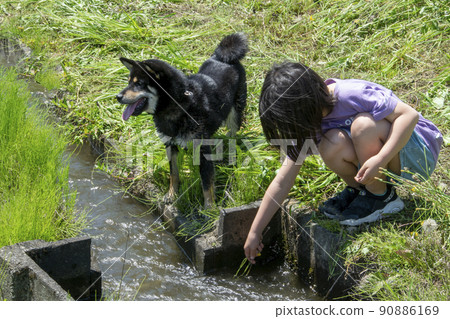 A black shiba inu in front of a ditch and a girl crouching next to her 90886169