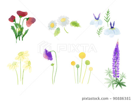 套花 套花 90886381