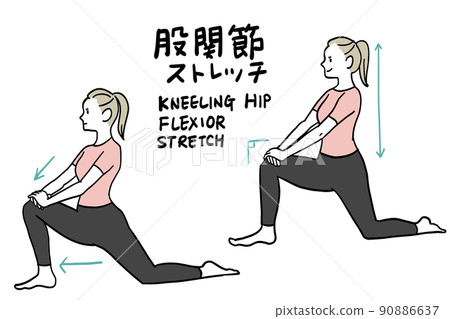 骨盆和臀部伸展 90886637