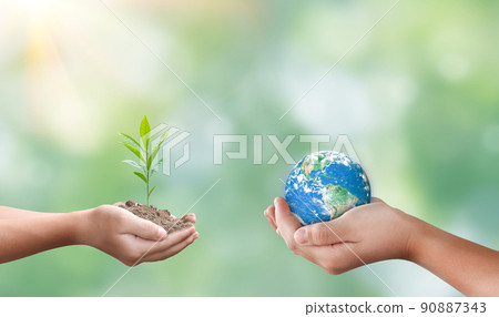 Hands holding global and seedling on blurred nature background. 90887343
