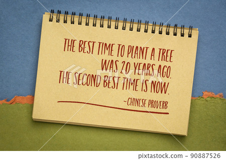 the best time to plant a tree - Chinese proverb 90887526