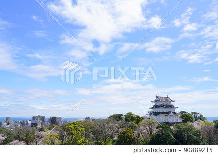 小田原城櫻花 小田原城櫻花 90889215