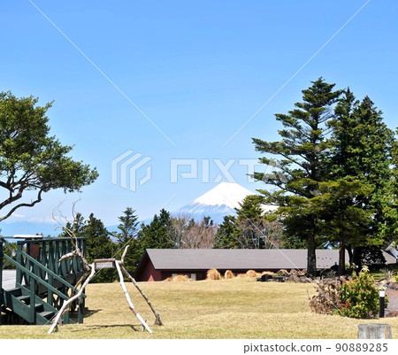 A distant view of Mt. Fuji from the blue sky and Amagi plateau 90889285
