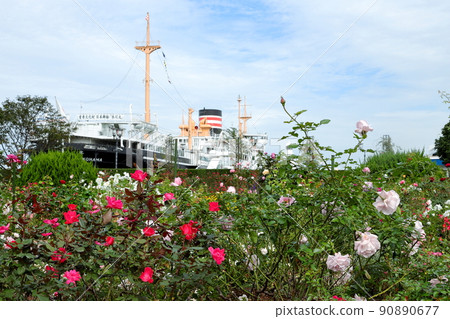 Yokohama Yamashita Park Roses and Hikawa Maru 90890677
