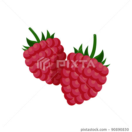 Sweet Small Raspberry with Fruit-stalk Poster 90890830