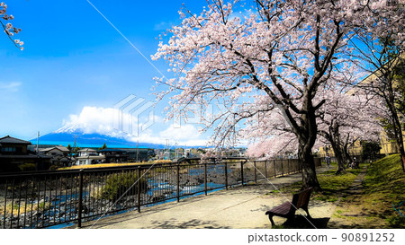 富士山、櫻花和卡諾川 富士山、櫻花和卡諾川 90891252
