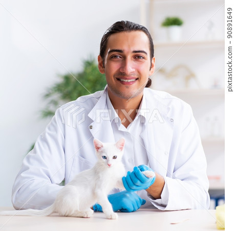 Young male doctor examining sick cat Young male doctor examining sick cat 90891649