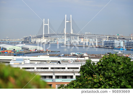 Yokohama City, Kanagawa Prefecture Port scenery 90893669