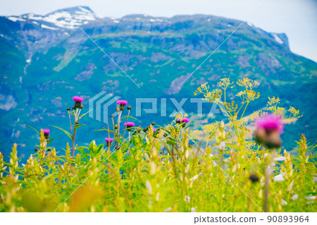 Mountains and fjord in Norway, Mountains and fjord in Norway, 90893964