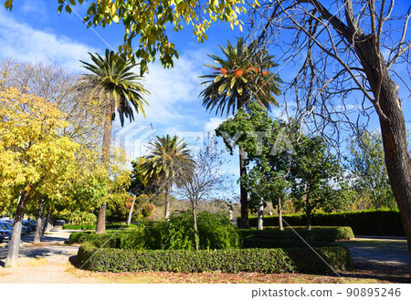 Palm tree on blue sky background. 90895246