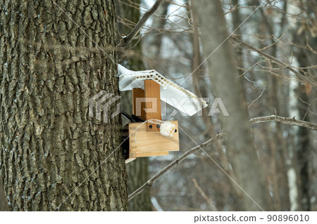 Bird feeder on the trunk of an old tree in the winter forest Bird feeder on the trunk of an old tree in the winter forest 90896010