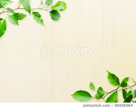 亮白木板前綠葉背景圖像，垂直紋理細膩 5 90896064