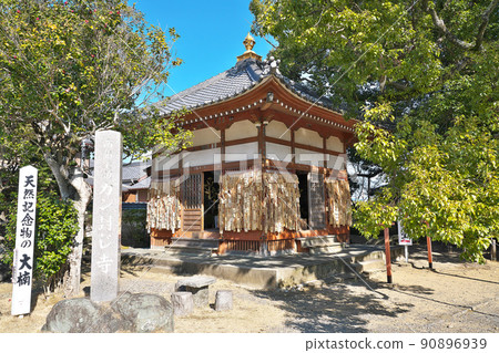 [Muryoji Ganseiji (Ganseiji)] Nitchu, Nishiura-cho, Gamagori-shi, Aichi 90896939