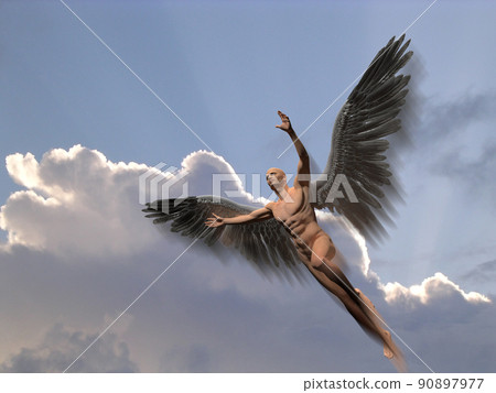 Angel Angel 90897977