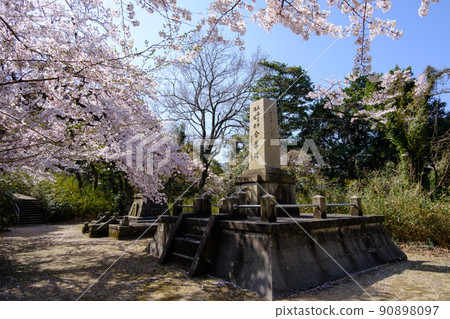 福井縣敦賀市的櫻花 福井縣敦賀市的櫻花 90898097