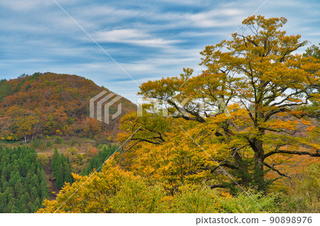 [Wakayama Prefecture] October, the autumn leaves season has arrived, and the view from the Koya Ryujin skyline after the rain 90898976