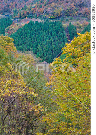[Wakayama Prefecture] October, the autumn leaves season has arrived, and the view from the Koya Ryujin skyline after the rain 90898980