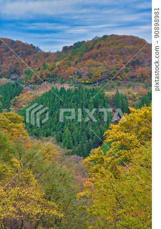 [Wakayama Prefecture] October, the autumn leaves season has arrived, and the view from the Koya Ryujin skyline after the rain 90898981