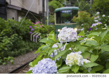 裝飾江之電 裝飾江之電 90899166