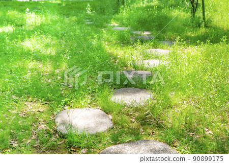 Sunny fresh green walking path 90899175