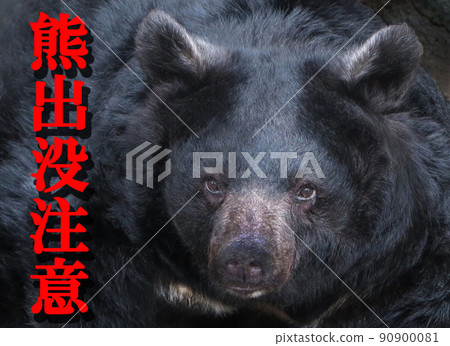 Bear haunting caution poster icon signboard 90900081