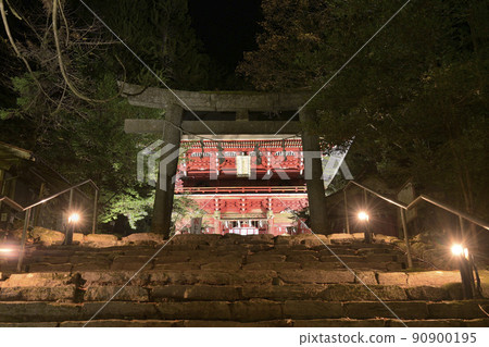 燈火通明的秋天花園神社的入口和塔門（茨城縣） 90900195