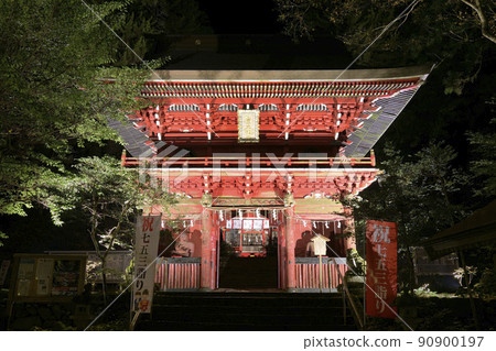 Illuminated Autumn Hanazono Shrine (Ibaraki Prefecture) Illuminated Autumn Hanazono Shrine (Ibaraki Prefecture) 90900197