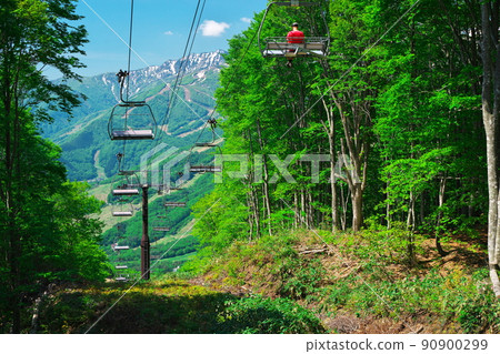 View from the fresh green Hakuba Iwatake Mountain Resort Line 5 South Lift View from the fresh green Hakuba Iwatake Mountain Resort Line 5 South Lift 90900299