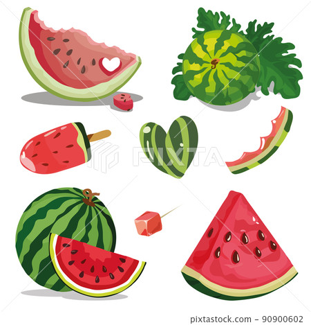 Set, whole and slice of watermelon. Summer food concept illustration isolated on white background. 90900602
