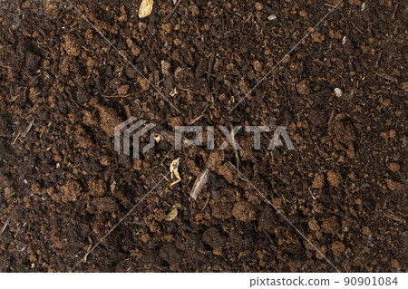 Peat Soil Texture 90901084