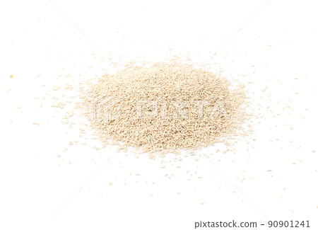 Dry and Raw Compressed Baking Yeast 90901241