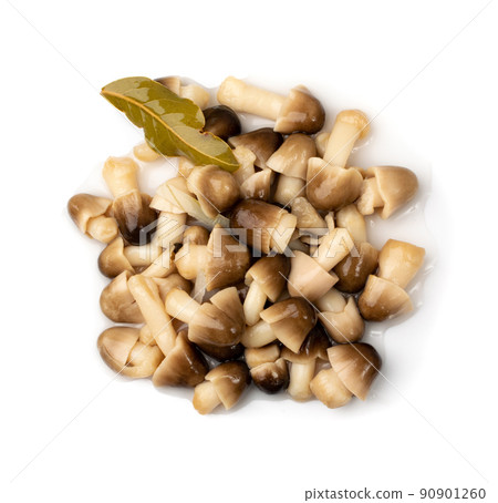 Pickled Straw Mushrooms Isolated 90901260