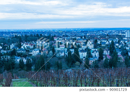 德國威斯巴登 Neroberg 山的城市景觀 90901729