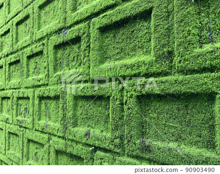 Block 06 一側有青苔 90903490