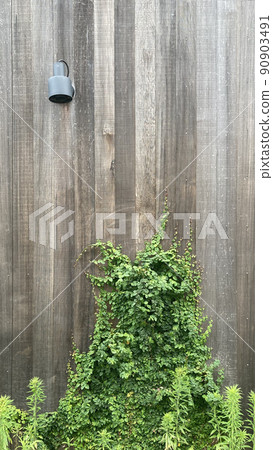 Natural wood wall with modern lights crawling ivy 90903491