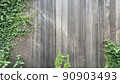 常春藤覆蓋的天然板牆背景材料 90903493