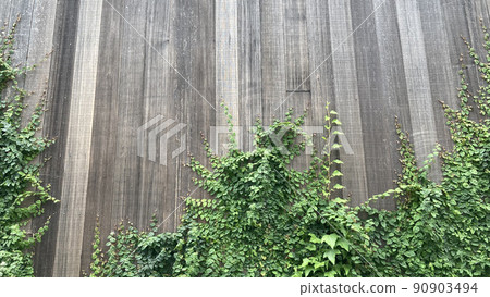 The background material of the natural board wall where the ivy of the tilt angle crawls The background material of the natural board wall where the ivy of the tilt angle crawls 90903494