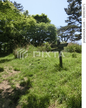 國木山山頂,表丹澤縣森林(神奈川縣秦野市) 國木山山頂,表丹澤縣森林(神奈川縣秦野市) 90903671