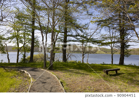 北海道的托羅湖長廊 90904451