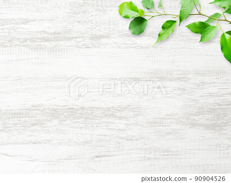 Background image 2 with green leaves on a wood grain board roughly painted white 90904526