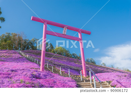 Higashimokoto's Shibazakura and Torii 90906172