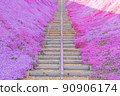 Moss phlox and stairs 90906174