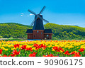 Windmill, blue sky and tulips 90906175